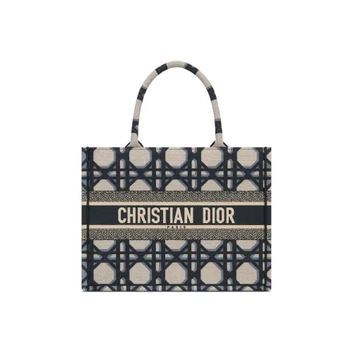 DIOR BookTote Handbags