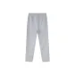 Silver Gray