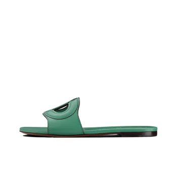 DIOR D-Club Slide Slippers Women's Green/Brown