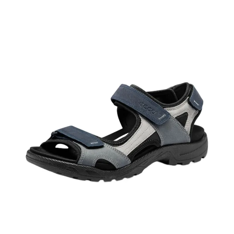 Ecco Sandal Men's Gray Blue Black-1