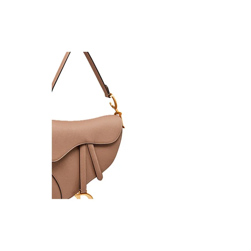 DIOR Saddle Handbags-4