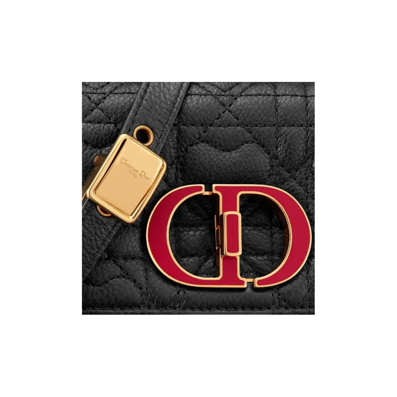 DIOR Caro Series Crossbody Bags-5