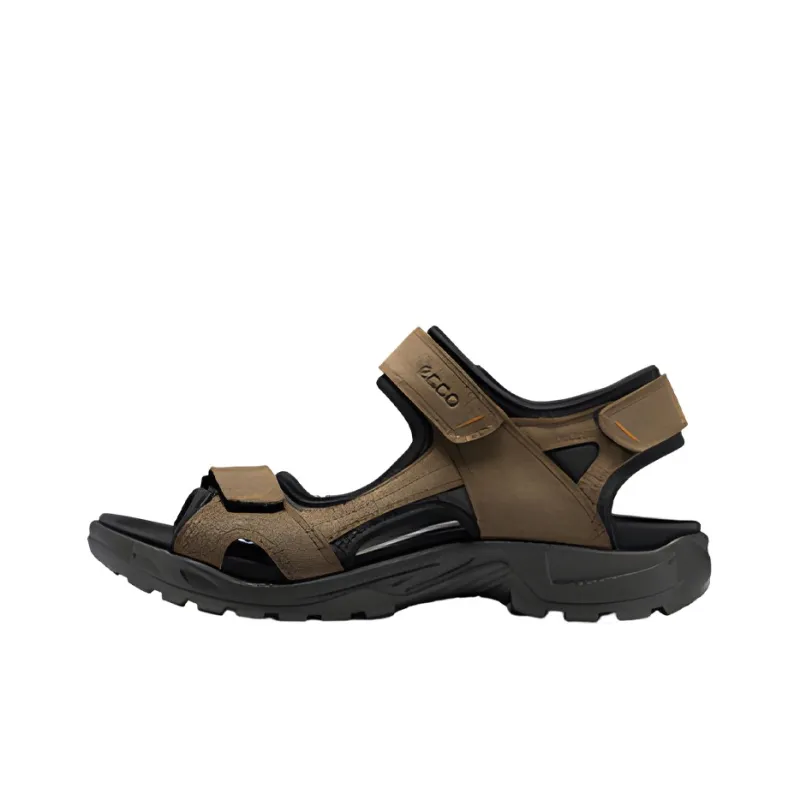 Ecco Beach Sandals Men Brown Black-0