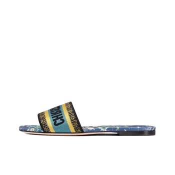 DIOR Dway Slide Slippers Women's Blue
