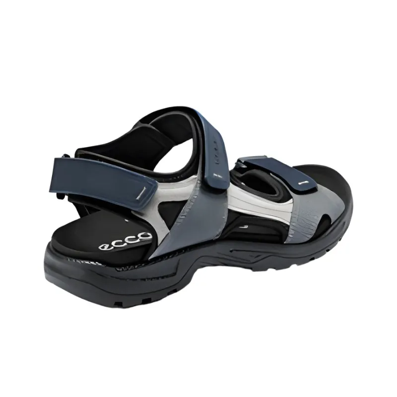 Ecco Sandal Men's Gray Blue Black-3