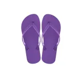 Calamus purple
