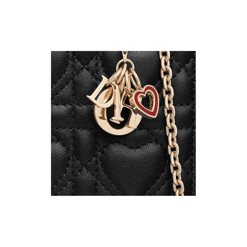DIOR Lady DIOR Cellphone Pouches-5
