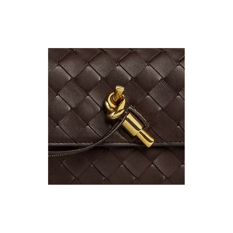 Bottega Veneta Lambskin Shoulder Bag, Crossbody Bag Mini Women's Dark Brown-4