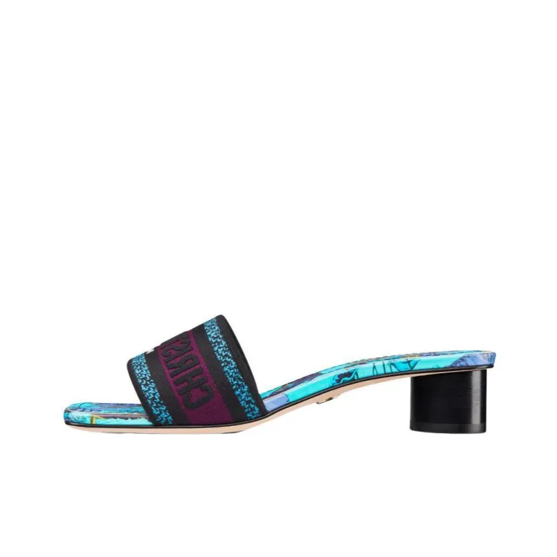 DIOR Rubber Sole Odor-Resistant Slide Slippers Women's Black Blue-0