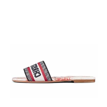 DIOR Dway Canvas Mules Women's