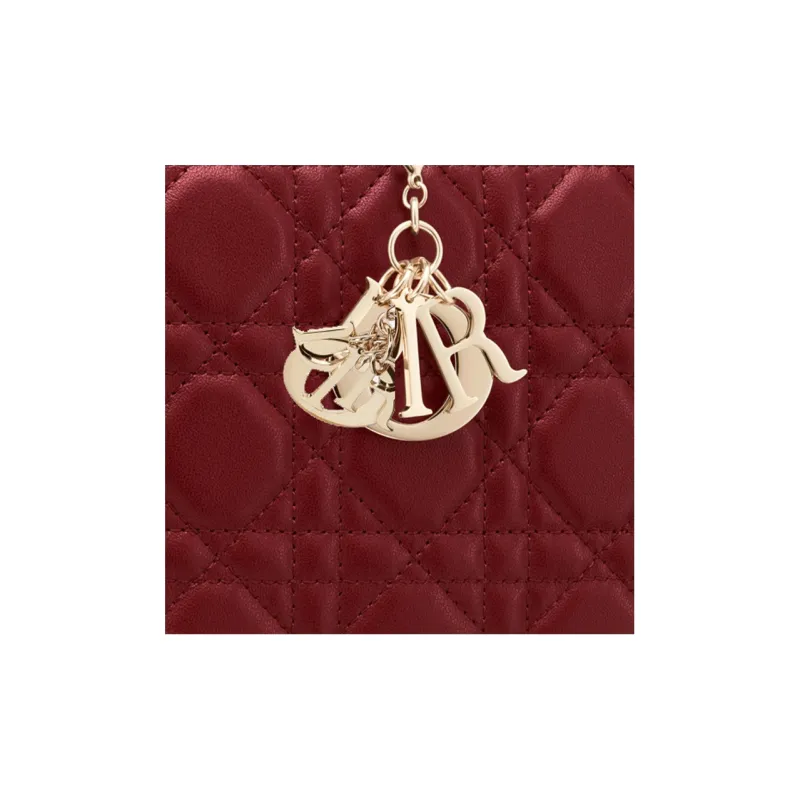 DIOR Lady DIOR Clutches-4