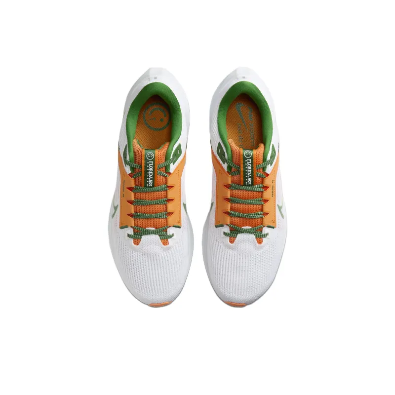 Nike Pegasus 40 Famu-3