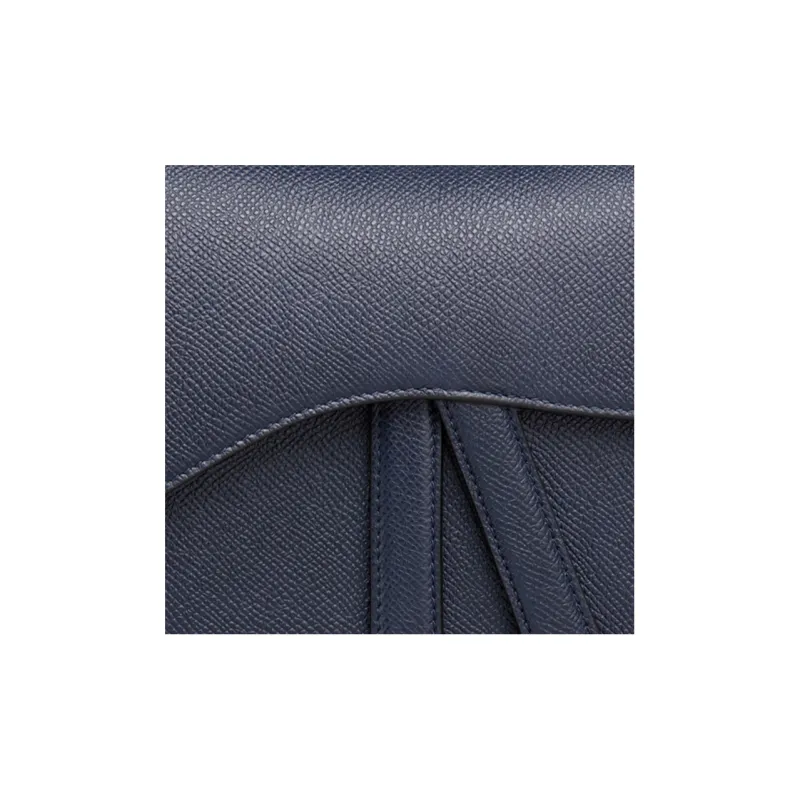 DIOR Saddle Handbags-4
