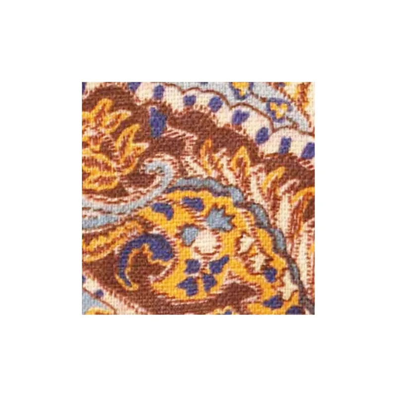 Zimmermann Paisley Print Belted A line Dress-1