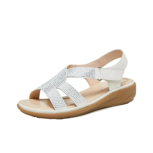 CAMEL Roman Sandals Women's