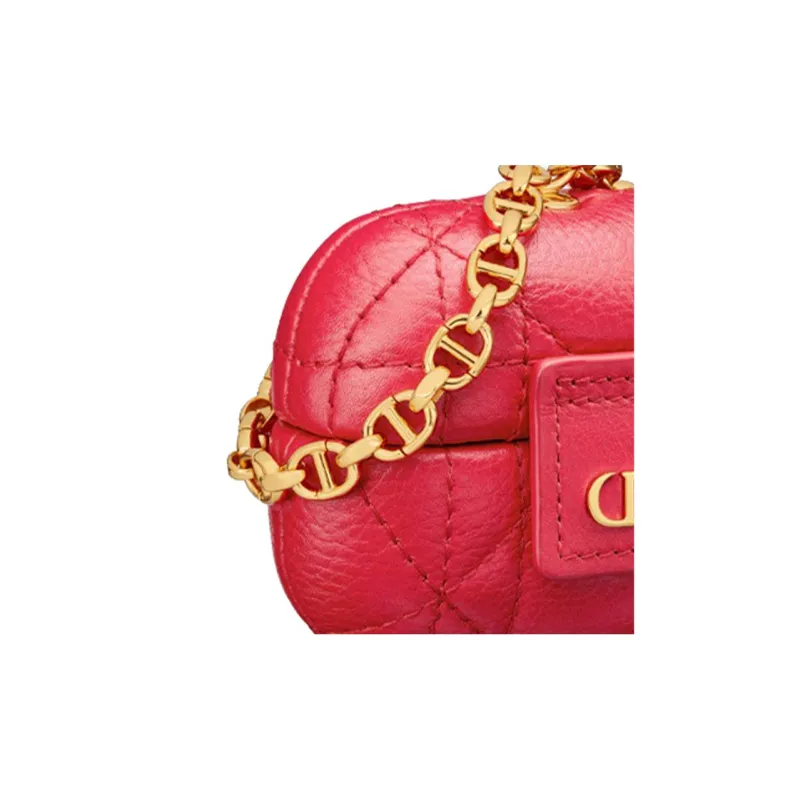 DIOR Caro Earphone Cases-4