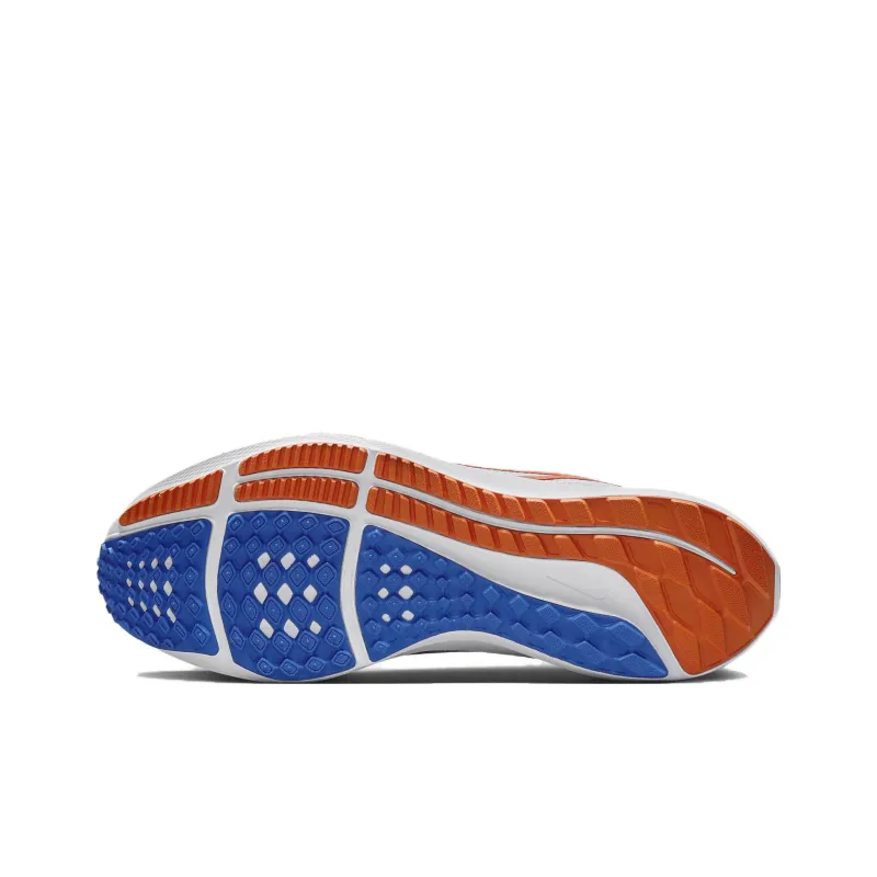 Nike Pegasus 40 Florida-5