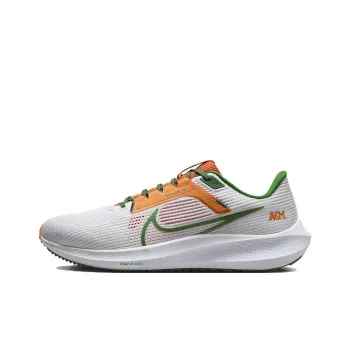 Nike Pegasus 40 Famu