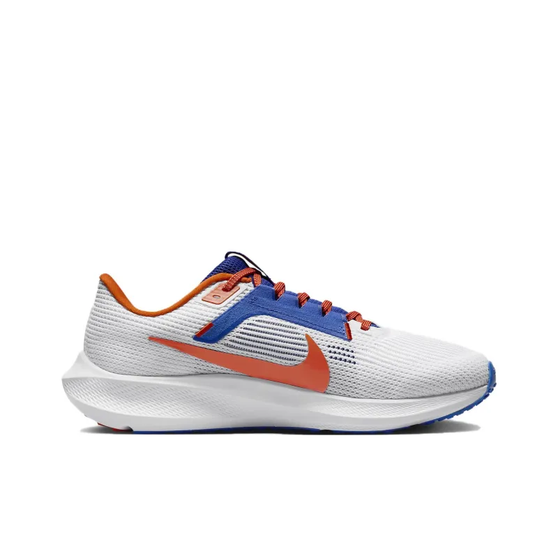 Nike Pegasus 40 Florida-1