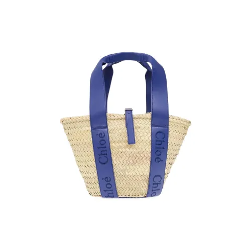 Chloe Raffia With Calfskin Basket Bag, One Shoulder Handbag Medium Size Women's Blue