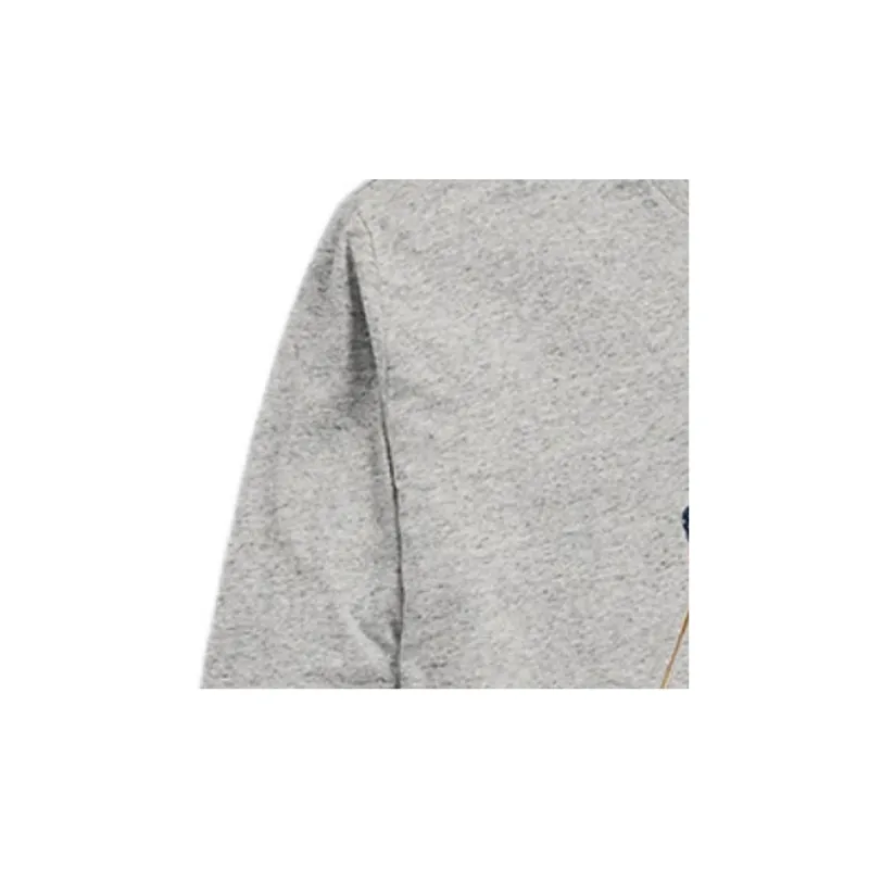 Polo Ralph Lauren T Shirt Men's Gray-5