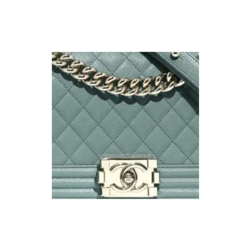 CHANEL Litchi Leather Calfskin Flap Bag, Shoulder Bag, Crossbody Bag Medium Size Women's Mint Green-1