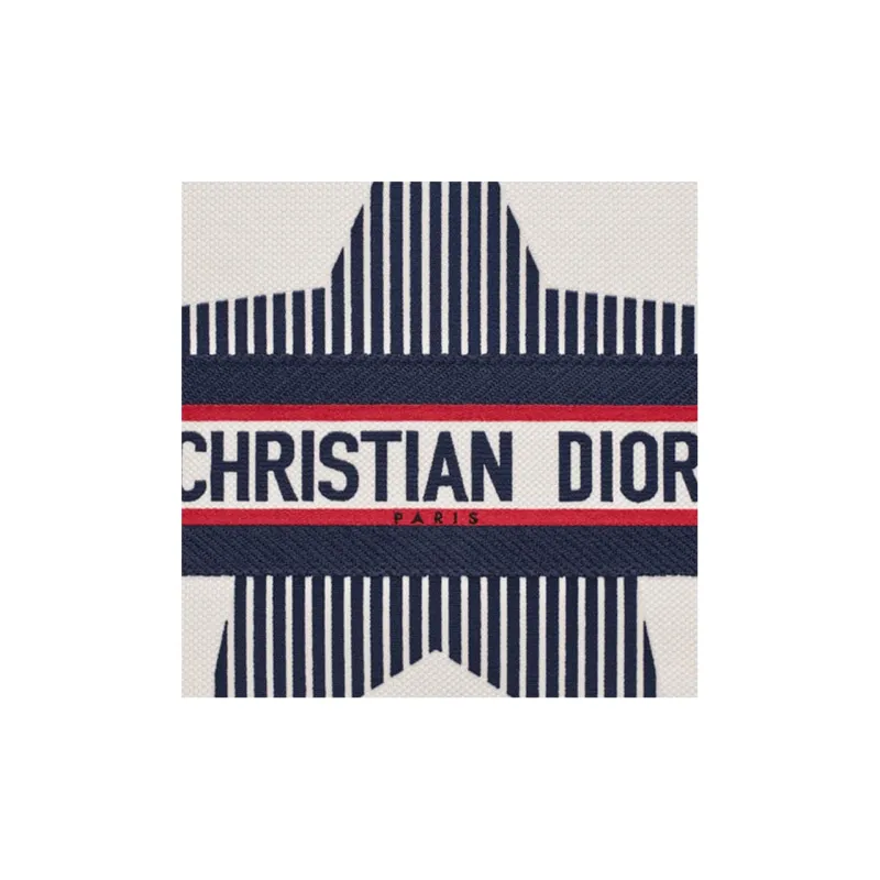 DIOR BookTote Handbags-4