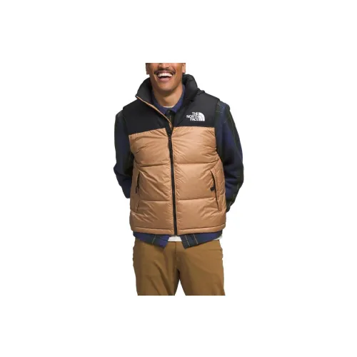 THE NORTH FACE Basin Vests Men Brown