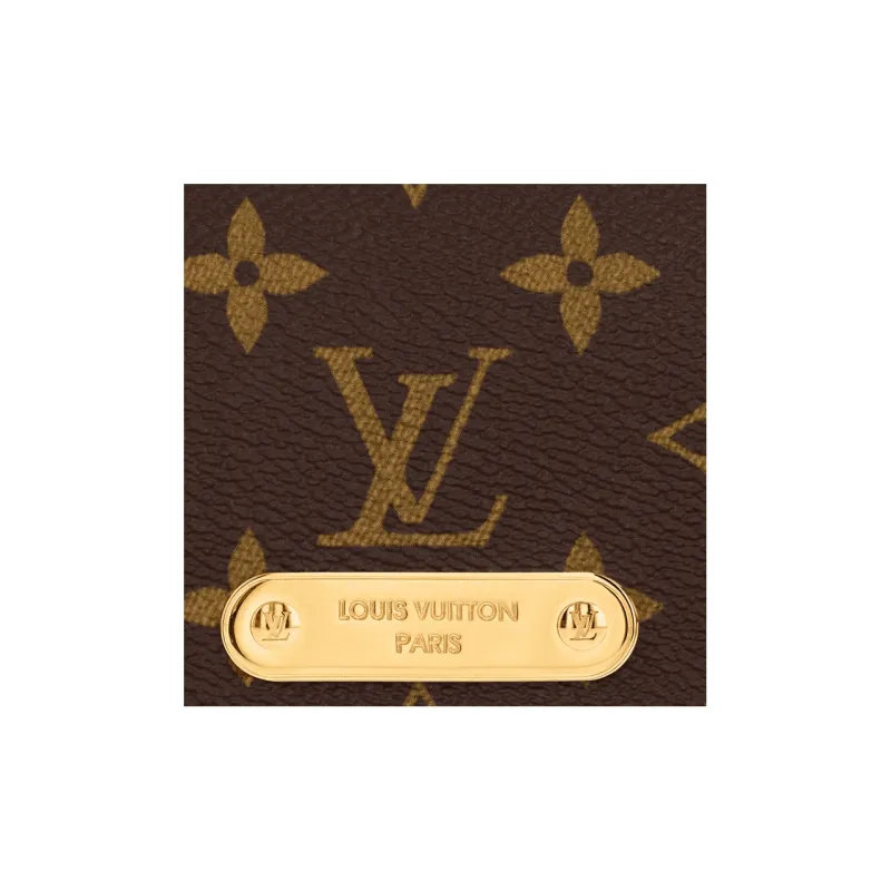 LOUIS VUITTON Wallet On Chain Lily-3