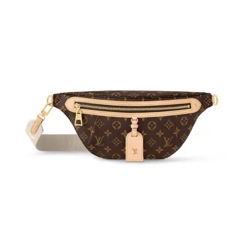 LOUIS VUITTON High Rise Bumbag Monogram