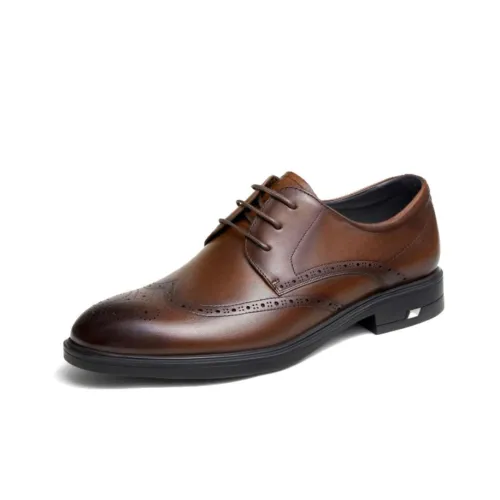 CAMEL Dress Shoes Men Low-Top