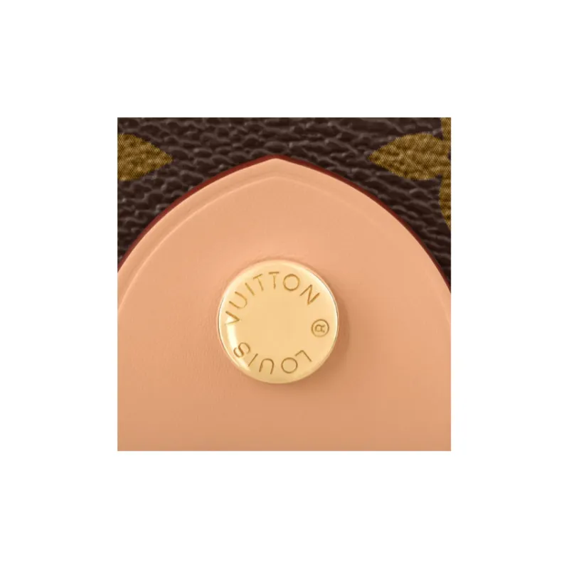 LOUIS VUITTON Coated Canvas Hard Case Unisex Brown-3