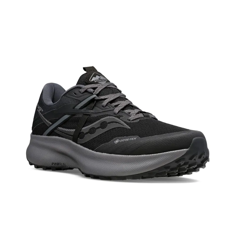 saucony Women's Ride 15 TR GORE-TEX 'Black Charcoal'-2