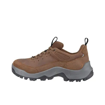 Ecco Low Top Outdoor Shoes Men's Brown