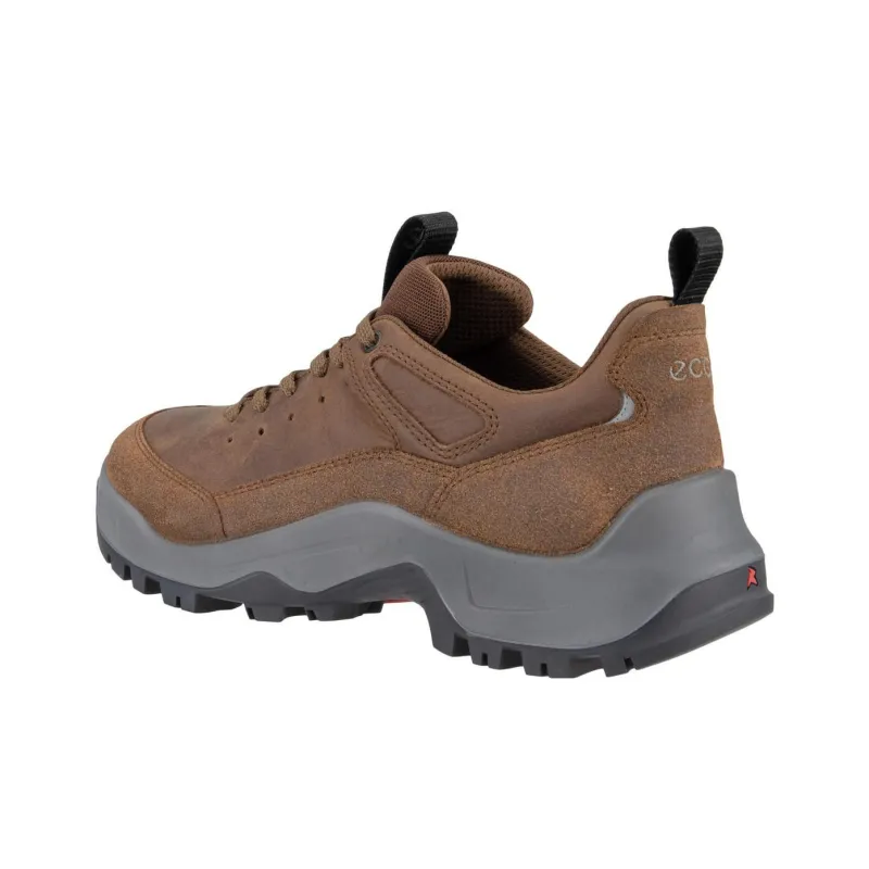 Ecco Low Top Outdoor Shoes Men's Brown-2