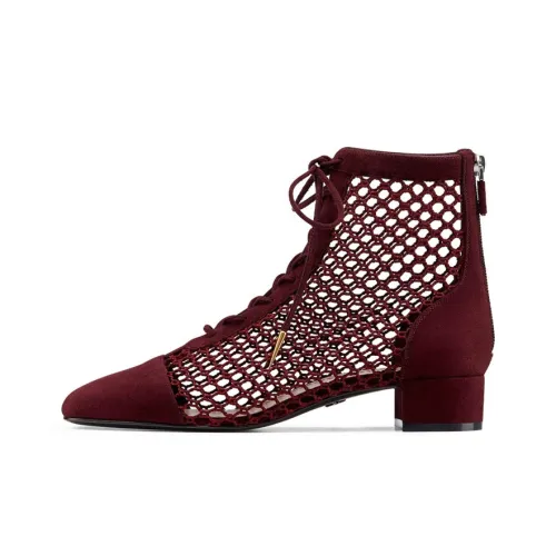 DIOR Naughtily-D Ankle Boots Women