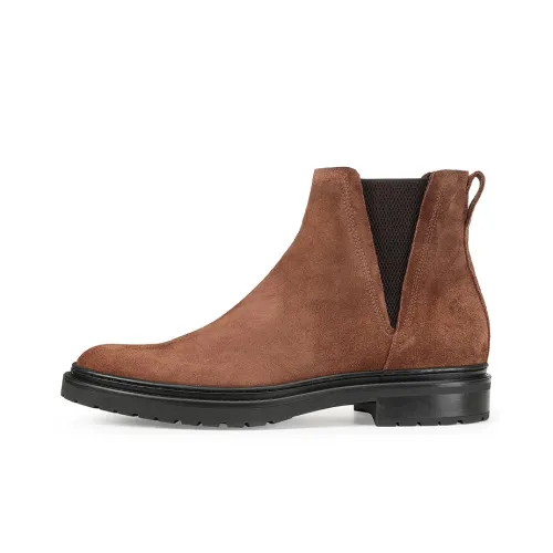 SERGIO ROSSI Chelsea Boots Men Brown