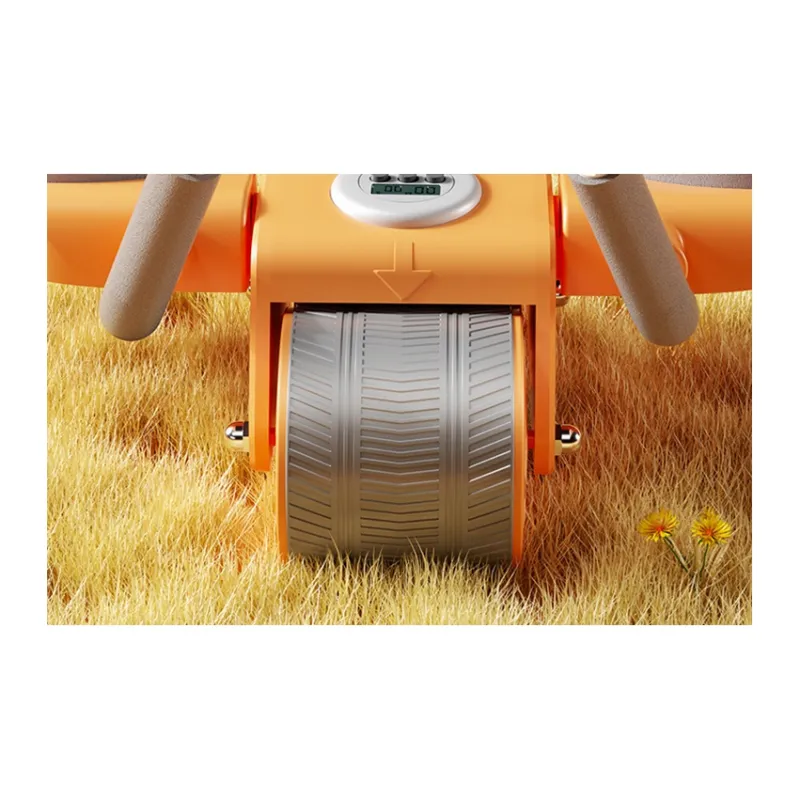 Oris Abdominal Rollers-2