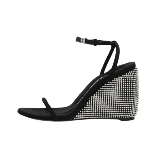 alexander wang Dahlia Crystal-embellished Wedge 105mm Sandals