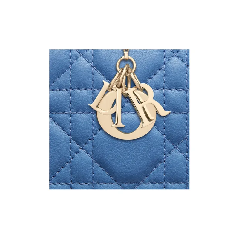 DIOR Caro Wallets-3