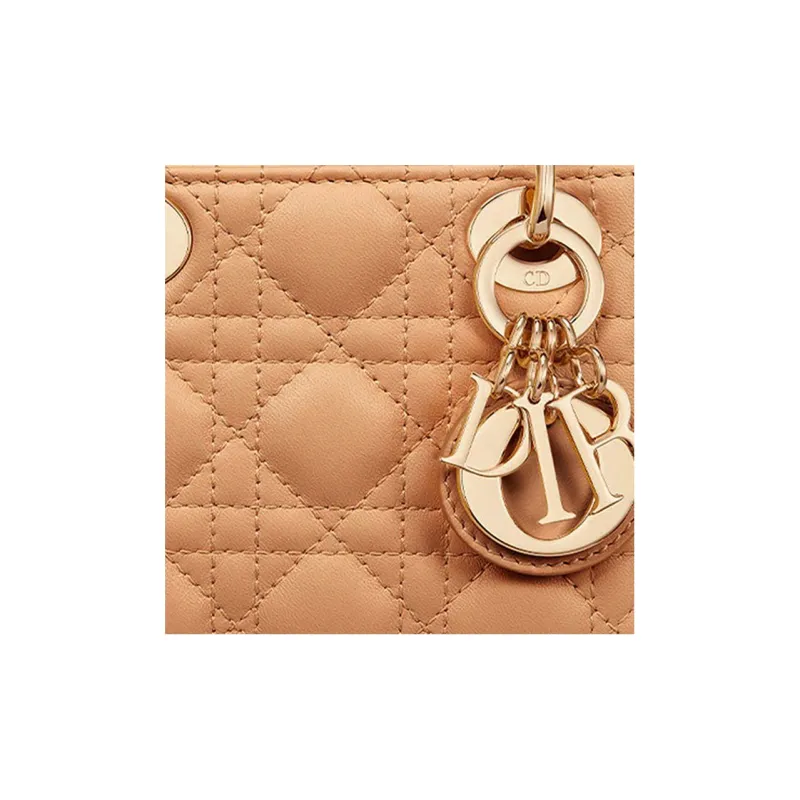 DIOR Lady DIOR Handbags-1