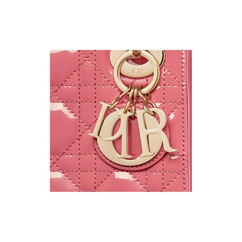DIOR Lady DIOR Handbags-4