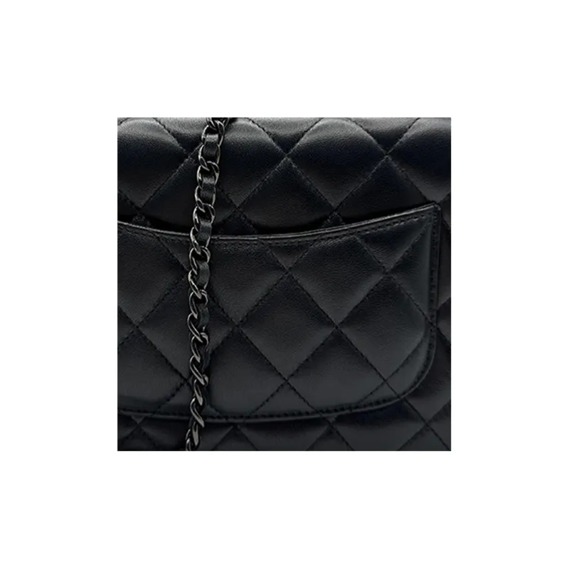 CHANEL 21B Fall WOC Lambskin Wallet On Chain Flap Bag, Chain Bag, Pochette, Shoulder Bag, Crossbody Bag Women's Black-4