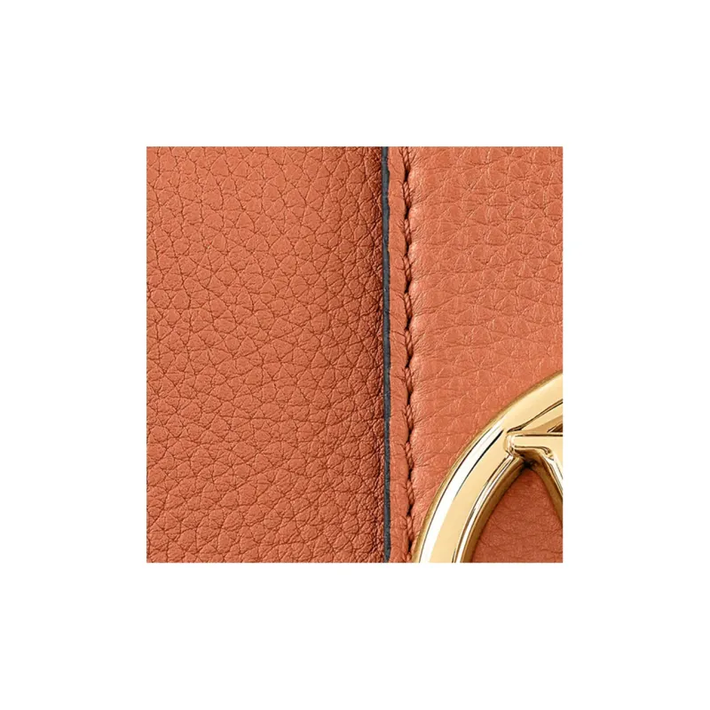 LOUIS VUITTON Pont Calfskin Shoulder Bag, Crossbody Bag Medium Size Women's Golden Orange-4