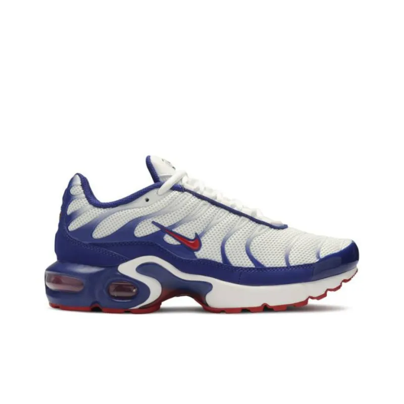 Nike Air Max Plus 'USA' Gs-1