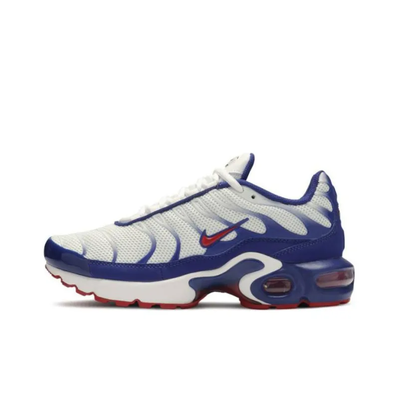 Nike Air Max Plus 'USA' Gs-0