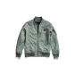 Light Gray Green