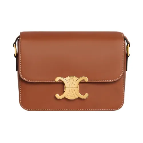 CELINE Calfskin Crossbody Bags Shoulder Bags Regular Women's Brown