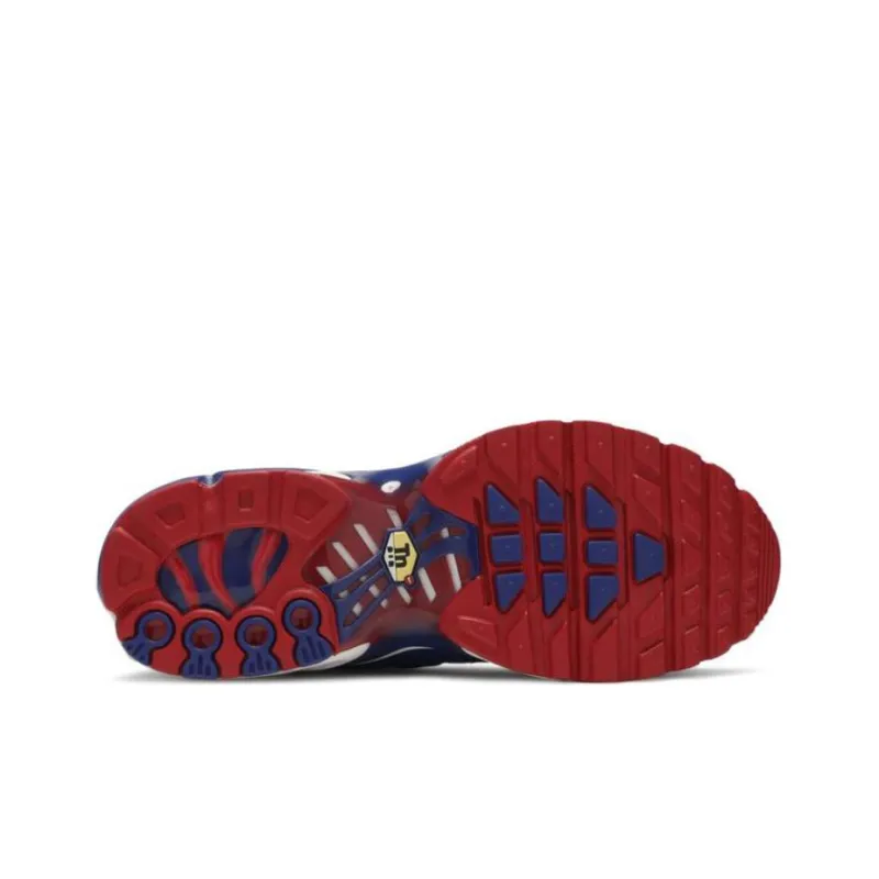 Nike Air Max Plus 'USA' Gs-3
