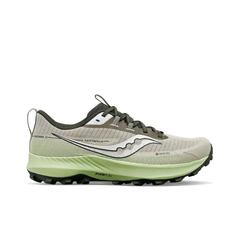 saucony Peregrine 13 GORE-TEX 'Dust Umbra'-1